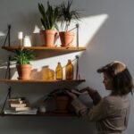 Consejos prácticos para cuidar plantas de interior y mejorar el aire en casa