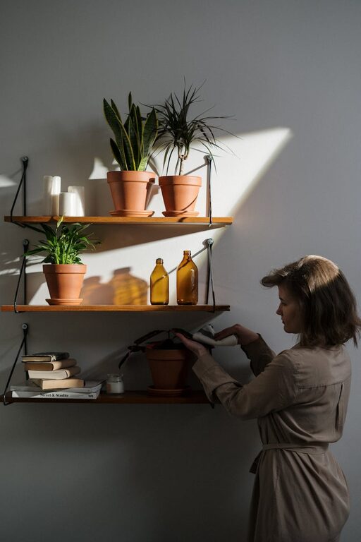 Consejos prácticos para cuidar plantas de interior y mejorar el aire en casa